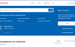 Личный кабинет Госуслуги Оренбург – официальный сайт, вход, регистрация