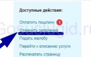 Можно ли оплатить госпошлину через Госуслуги за другого человека — 2020