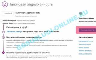 Как заплатить налоги ИП через интернет: оплата на сайте налоговой или Госуслуги