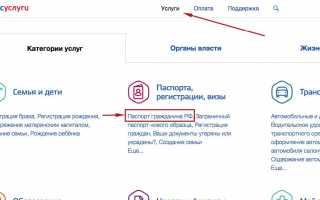 Замена паспорта РФ через госуслуги: как заказать паспорт через интернет