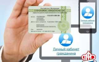 Узнать номер СНИЛС по паспорту онлайн