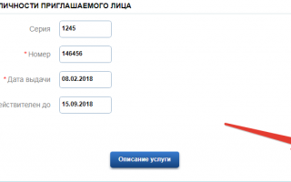 Оформление приглашения иностранному гражданину в Россию через Госуслуги: пошаговая инструкция