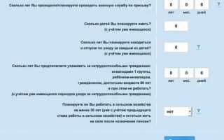 Личный кабинет Пенсионного фонда России: инструкция по использованию