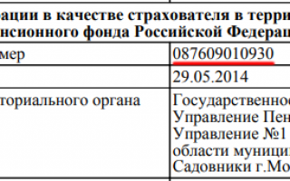 ПФР по регистрационному номеру в Москве