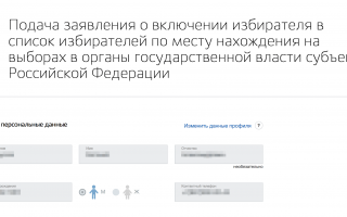 Как подать заявление на выборы 8 сентября 2019 года через Госуслуги