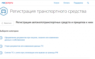 Замена ПТС через Госуслуги: пошаговая инструкция