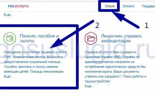 Различные способы узнать по СНИЛСУ свой Пенсионный Фонд