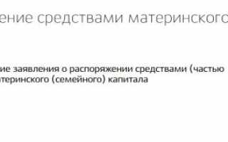 Справка из Пенсионного Фонда об остатке средств материнского капитала