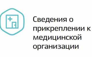 Порядок прикрепления к детской поликлинике в Москве