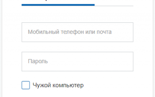 Поэтапное оформление загранпаспорта через портал Госуслуги в 2020 году