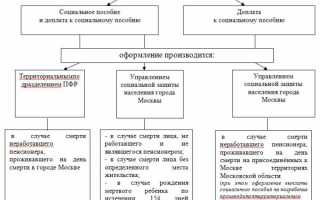 Заявление на погребение: образец для получения социальной выплаты