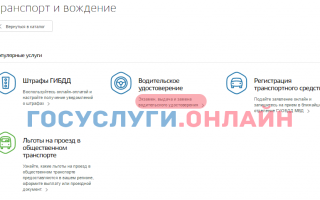 Как записаться на площадку экзамена в ГИБДД через Госуслуги?