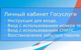 Госуслуги в Санкт-Петербурге личный кабинет: вход или регистрация