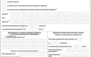 Как стать самозанятым в 2020 году — пошаговая инструкция