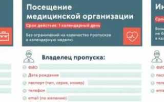 Как получить цифровой пропуск в Москве в период самоизоляции: пошаговая инструкция