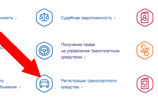 Образец и бланк договора купли продажи автомобиля в 2020 году