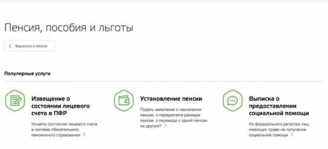 Пенсионные накопления — все способы проверки