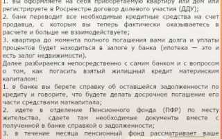 Как заполнить и подать заявление о распоряжении маткапиталом в 2020 году: бланк и образец