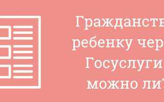 Как новорожденному ребенку в 2018 оформить через Госуслуги гражданство