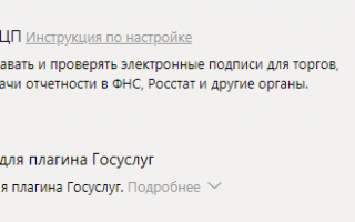 Какой плагин необходим для работы с порталом Госуслуг?