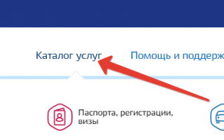 Замена паспорта РФ на портале госуслуг: как поменять паспорт через интернет