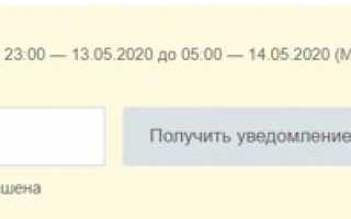 Когда выплатят 10 тысяч рублей на ребёнка от 3 до 16 лет: график выплат от ПФР