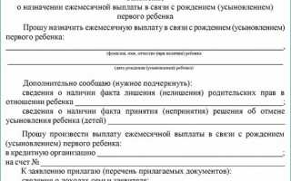 Что такое путинские выплаты на ребенка, кому они положены и как их получить