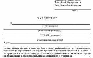 Как узнать задолженность по страховым взносам в Пенсионный фонд ИП, организации, физическому лицу