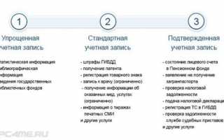 Личный кабинет Госуслуги Ростов – официальный сайт, вход, регистрация