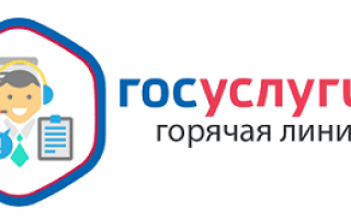 Горячая линия Госуслуг – Бесплатный телефон по Российской Федерации, номер службы поддержки 8800