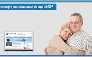 Способы проверить пенсионные накопления онлайн по номеру СНИЛС