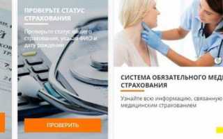 Запись к врачу в электронной регистратуре Московской области