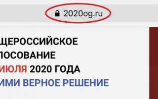 Вход — pg.er.ru — Предварительное голосование 2020