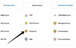 Как получить выписку из ЕГРН через Госуслуги — Портал государственных услуг Российской Федерации